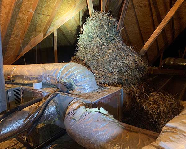 Comfort Class - Chimney and Fireplace Repair