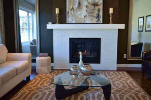 a fireplace insert 
